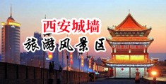 骚货逼痒不痒艹你骚逼中国陕西-西安城墙旅游风景区